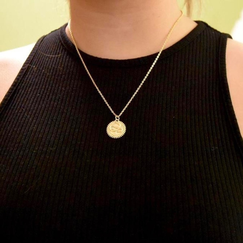 Boho Snake Coin Necklace - Picture 4 of 4